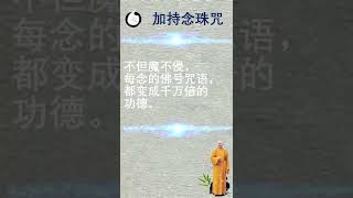 【加持念珠咒】海涛法师