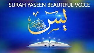 Surah Yaseen (16D Audio)🎧 | Beautiful Heart Touching Voice
