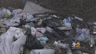Marine Park Residents Fed Up With Illegal Dumping