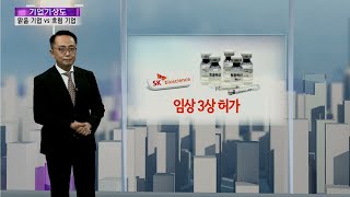 [기업기상도] 실력으로 해뜬 기업 vs 속살 드러나 흐린 기업 / 연합뉴스TV (YonhapnewsTV)