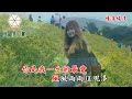 情深緣淺 楊瑞香（香香）貝多麗唱片 字幕 hd mv 首播 金嗓24172 音圓430904