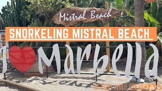 I Snorkeled Mistral Beach! Beach In Marbella, Costa Del Sol