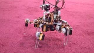 CES Robots: More than just vacuuming