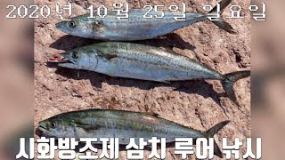 201025 시화방조제 삼치 루어 낚시! 삼치는 무조건 있다!! 보일링이 없다면 바닥부터 공략하기!!!