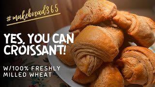 Croissants with 100% Freshly Milled Wheat | December #makebread365 recipe