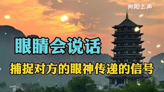 眼睛会说话，捕捉对方的眼神传递的信号——值得品读