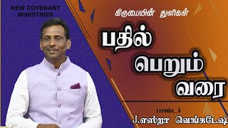 பதில் பெறும் வரை.  - கிருபையின் துளிகள் 1048 (Drops Of Grace 1048)