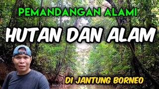 Keindahan Pemandangan HUTAN yang berada di kawasan JANTUNG BORNEO, Kalimantan Barat Pelosok Ambalau