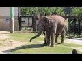 20231017_宮崎市フェニックス自然動物園・朝一のみどりさん