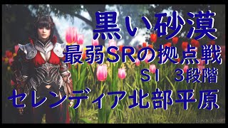 【黒い砂漠】最弱SRの拠点戦　S1  3段 50人枠    2024/5/1  セレンディア北部平原  #黒い砂漠 #黒い砂漠PC #拠点戦