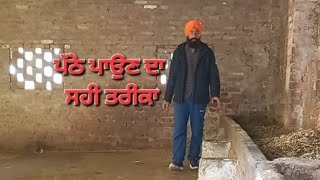 ਪੱਠੇ ਪਾਉਣ ਦਾ ਸਹੀ ਤਰੀਕਾ ਘੱਟੇਗਾ ਖਰਚਾ ਵਧੇਗਾ ਦੁੱਧ