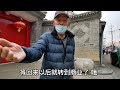 北京胡同遇山西大爷，和北京知青结婚，20年后进京，现在生活如何？