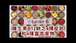 維生素B12缺乏4種症狀和4種富含食物