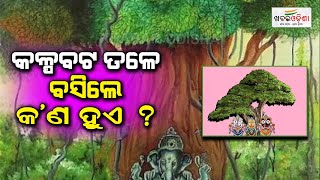 କଳ୍ପବଟ ତଳେ ବସିଲେ କ'ଣ ହୁଏ ? | Kalpabata Tree | Khabar Odisha