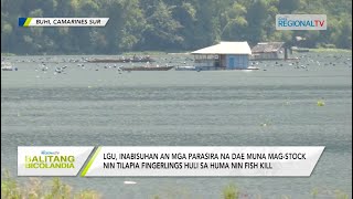 Balitang Bicolandia: 2 brgy na nakakasakop sa Lake Buhi, pigbabantayan kan Lake Development Office