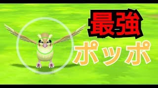 【ポケモンLet'sgo】最強のポッポ作ってみた