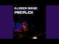 Preplex (Original Mix)