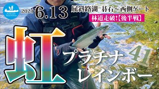 屈斜路林道走破！【後半戦】岸寄りはウグイの大群に邪魔されてアウトな感じの前半戦。後半戦でやっと、ウグイの少ない場所を見つけてヒット！…えっ？小さいけど、もしかして、プラチナレインボーでしょ！