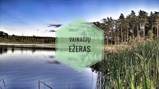 Vainagių ežeras 2020 vasarą, 4K UHD, pakrančių nuotraukos, Kurtuvėnų regioninis parkas, #vgumbakis