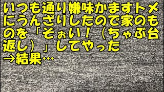 【DQN返し】いつも通り嫌味かますトメにうんざりしたので家のものを「そぉい！（ちゃぶ台返し）」してやった→結果…【痛快・スカッとジャパン!】