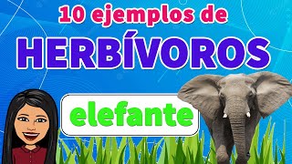 10 Ejemplos de Animales Herbívoros I ANIMALES HERBÍVOROS EJEMPLOS I Para tu TAREA FÁCIL Y RÁPIDO