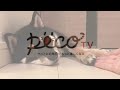 おねむでも、どんな時でも、お手してくれる柴犬…♡【pecotv】