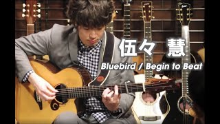 伍々 慧 Satoshi gogo Instore live - Bluebird / Begin to beat - Dolphin Guitars