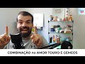 🔥 touro com gÊmeos É uma boa combinaÇÃo no amor É duradoura