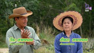 EP.48 เมืองไทยเมืองเกษตร ตอน ต้นแบบสับปะรดศรีราชา