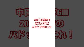 中日新聞杯GⅢ2022王者のパドックがこれ！#中日新聞杯 #キラーアビリティ #競馬 #競馬予想 #パドック