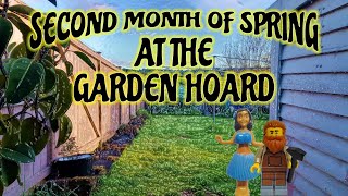 Garden diaries - Second month of Spring