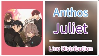 Juliet ( Anthos ) - Line Distribution