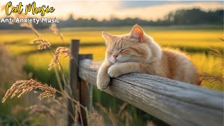 Soothing Music for Anxious Cats: Melodies Keep Your Cat Calm, Happy and Reduce Anxiety 🐾