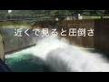 滝沢ダム放水