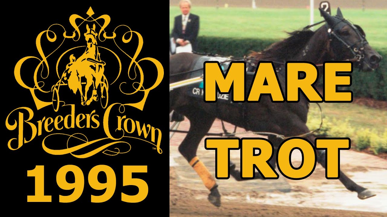 1995 Breeders Crown - CR Kay Suzie - Mare Trot - YouTube