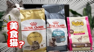 偏食な猫のご飯事情！食べてくれ！【ノルウェージャンフォレストキャット】【保護猫】