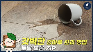 갓벽한 강마루 관리방법 토탈 모음.ZIP / 마루 관리법 강마루편