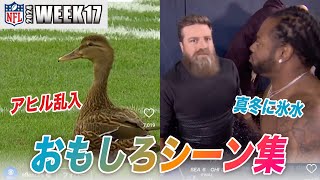 【NFL2024】WEEK17のおもしろシーン集 幸運のアヒル乱入！？と芸人並みに体を張るレジェンドたち