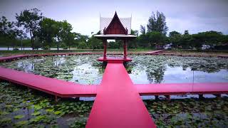 อุทยานบัวเฉลิมพระเกียรติ (มหาวิทยาลัยเกษตรศาสตร์ - KUCSC Lotus Lake)