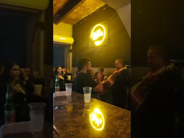Pablo Garcia Voz Del Mariachi Los Perez Tu Ingratitud Chords Chordify