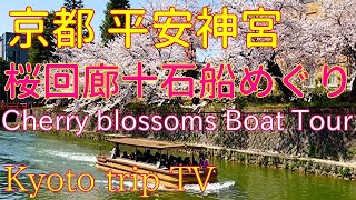 京都🌸平安神宮【岡崎🚤桜回廊十石船めぐり】 Cherry blossoms🌸Okazaki Jikkokubune Boat Ride🚤Kyoto Japan