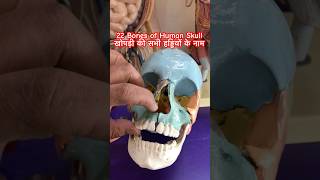 22 Bones of Skull । खोपड़ी की हड्डियाँ #shorts #viralvideo