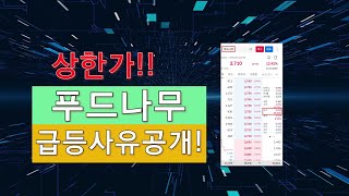 [Today's Issue!] 푸드나무 상한가!!