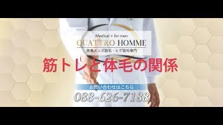 「筋トレと体毛の関係」徳島メンズ脱毛・ヒゲ脱毛専門QUATTRO HOMME