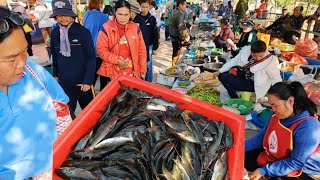 #ตลาดนัดไทย-ลาว#บ้านหนาด กบ ปลาน้ำโขง หนูนา #merket ปลา #streetfood #food#eat 4แยก ชาแนล