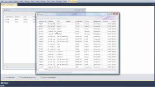 WinForms Grid - Split Containers