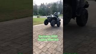 SPORTSMAN 1000 POPPING WHEELIES! #shorts #wheelies