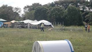 エクストリーム関西地区大会＠2011オープン総合