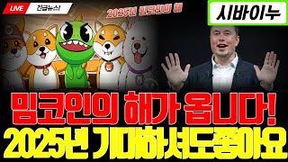 [시바이누코인]💎 2025년은 밈코인의 해? 역대급 기대감터져주네요!