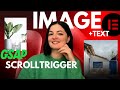 GSAP IMAGE REVEAL ON SCROLL TRIGGER - Elementor Wordpress Tutorial Flex Container